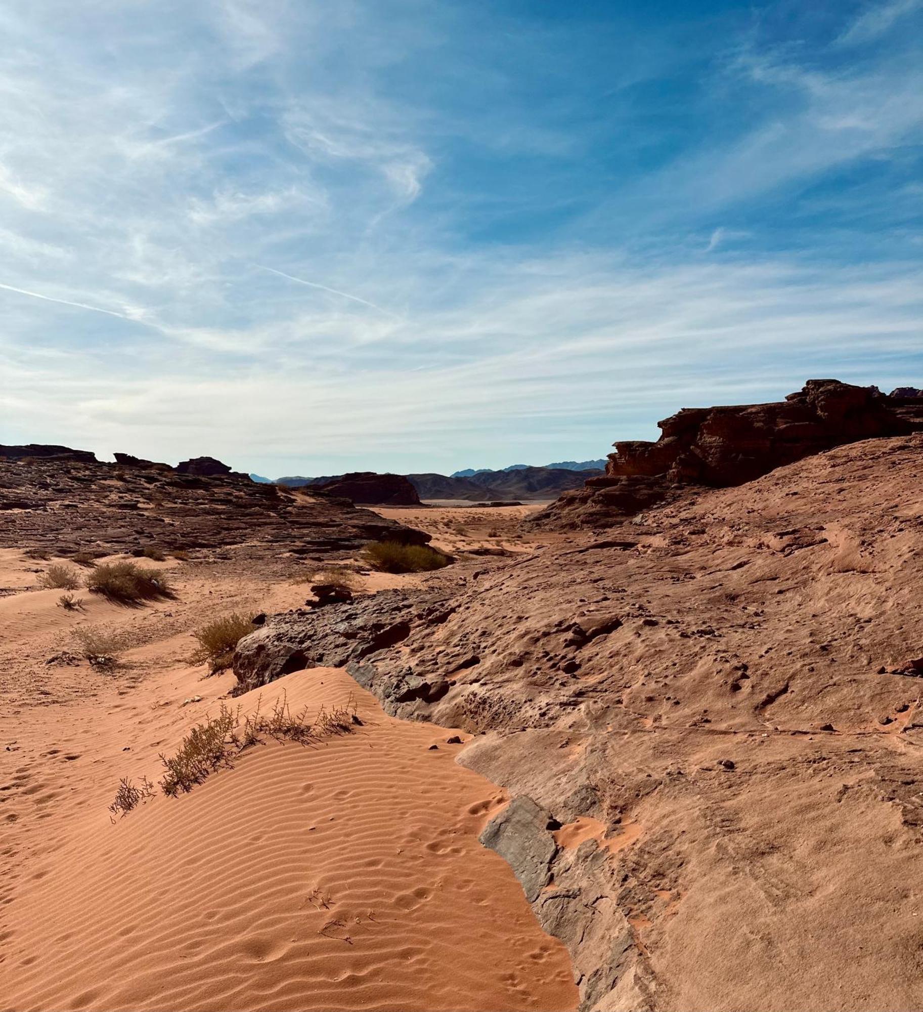 Hotel Salameh'S Bedouin Camp Wadi Rum Zewnętrze zdjęcie