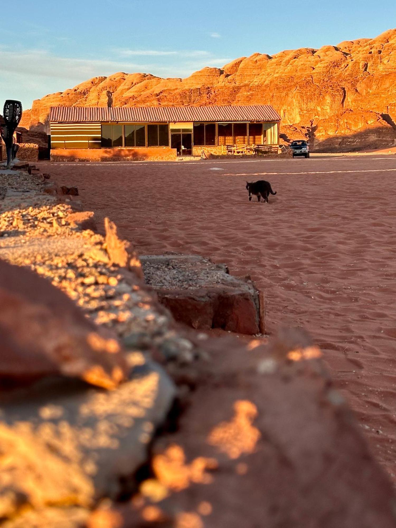 Hotel Salameh'S Bedouin Camp Wadi Rum Zewnętrze zdjęcie